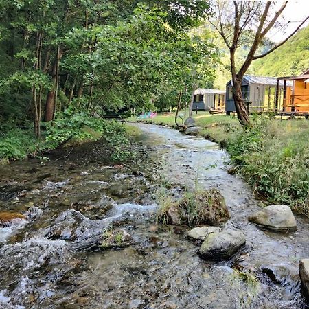 Transfagarasan River Retreat Arefu Zewnętrze zdjęcie